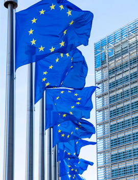 Euro Work Permit